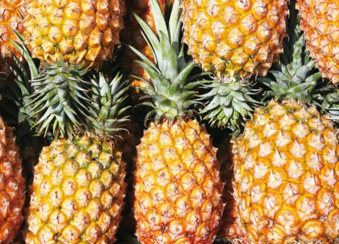 鳳梨酵素益生菌副作用 鳳梨酵素益生菌副作用