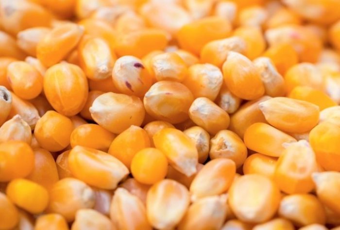 运动后饮食 运动后饮食