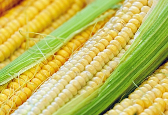 如何挑選甜玉米 如何挑選甜玉米