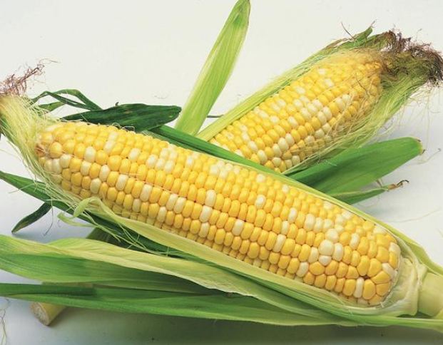 玉米挑選技巧 玉米挑選技巧
