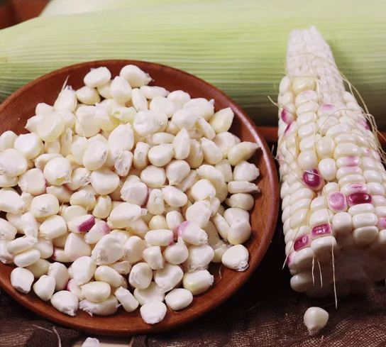 糯米玉米減肥 糯米玉米減肥