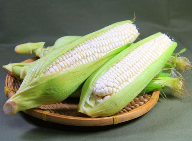 糯米玉米減肥 糯米玉米減肥