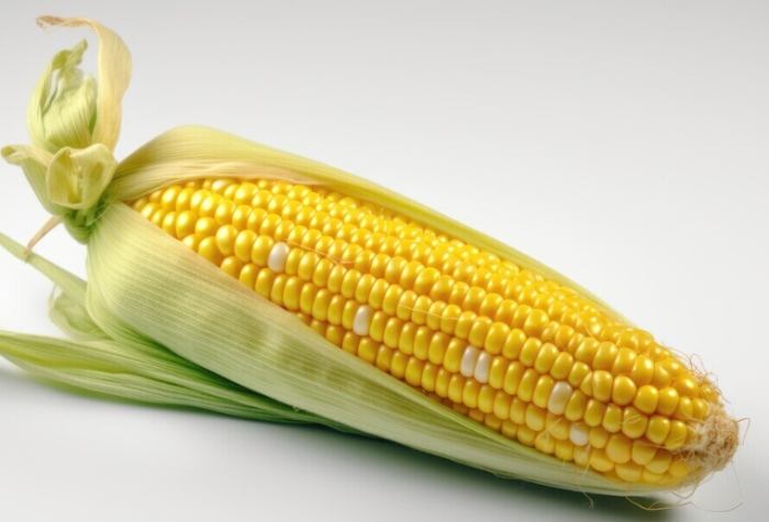 运动补充 运动补充