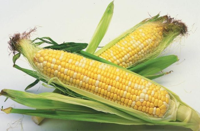 每天吃玉米好處 每天吃玉米好處