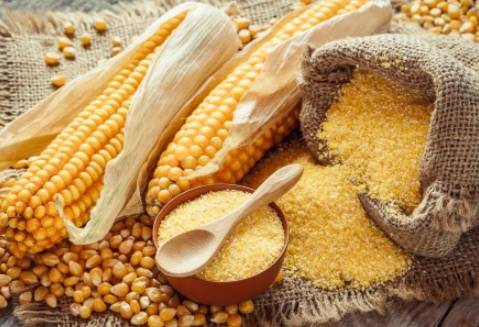 玉米澱粉 生粉 區別 玉米澱粉 生粉 區別