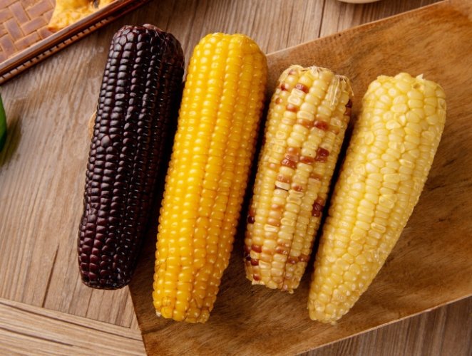 玉米營養價值 玉米營養價值