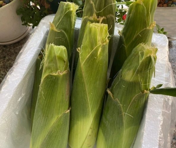 減肥食譜糯玉米