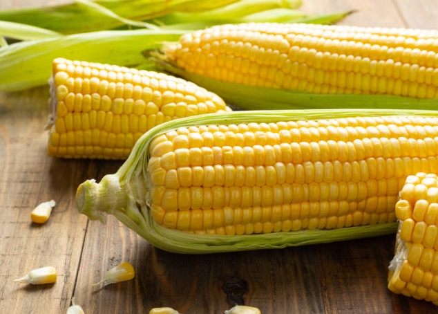 玉米熱量計算 玉米熱量計算