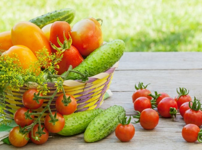 酵素服用频率 酵素服用频率