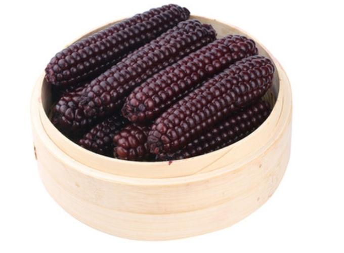 玉米熱量 玉米熱量