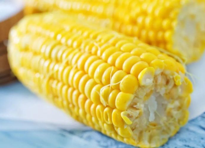 玉米熱量 玉米熱量