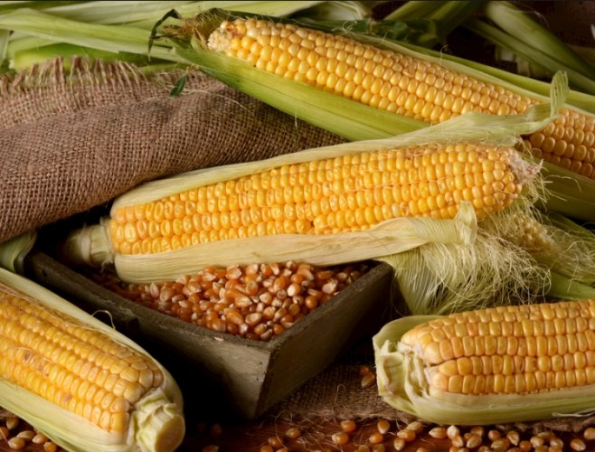 男人吃玉米好处 男人吃玉米好处