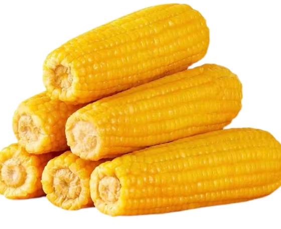玉米粒卡路里