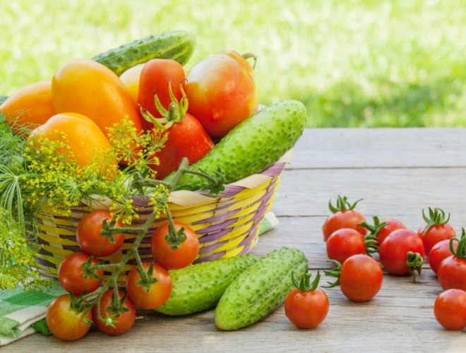 酵素益生菌比較