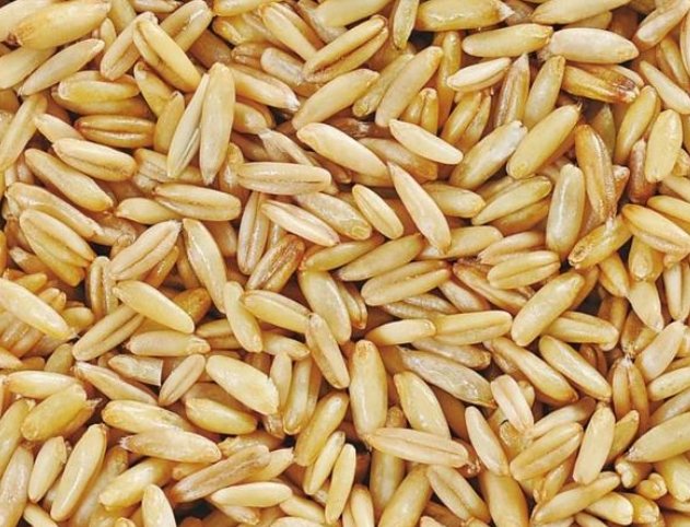 糖尿病飲食玉米罐頭 糖尿病飲食玉米罐頭