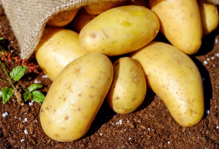 馬鈴薯升糖指數 馬鈴薯升糖指數