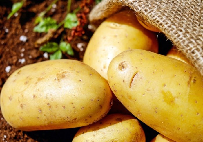 馬鈴薯健康飲食 馬鈴薯健康飲食