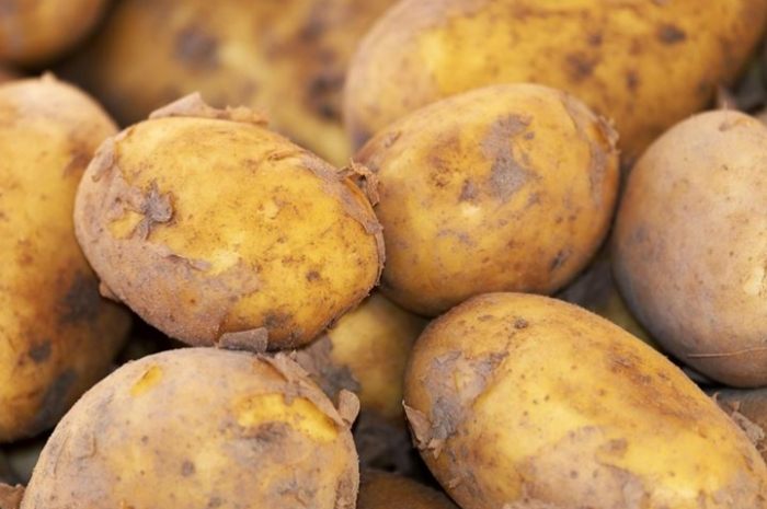 糖尿病马铃薯食谱