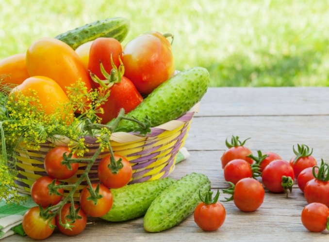 酵素最佳使用時間 酵素最佳使用時間