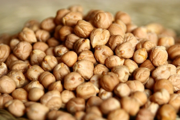 鷹嘴豆健康益處