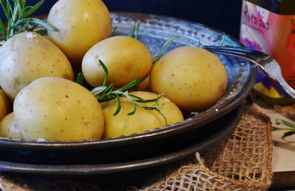 蒸馬鈴薯減肥 蒸馬鈴薯減肥