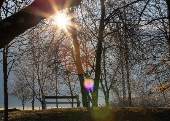 睡眠體重變化 睡眠體重變化