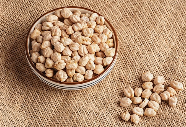 鷹嘴豆營養