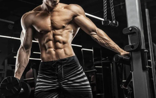 蛋白質補充時機 蛋白質補充時機