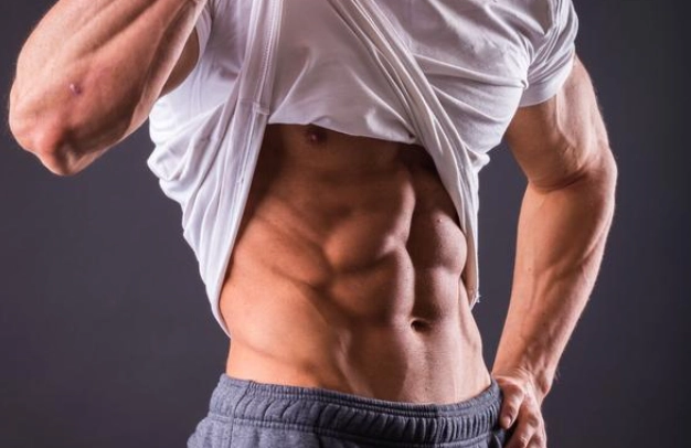 增肌減脂比例 增肌減脂比例