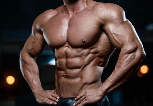 增肌飲食計畫 增肌飲食計畫