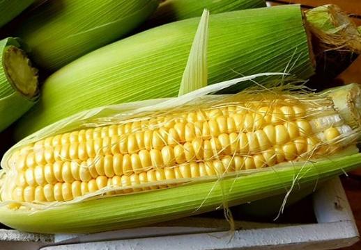玉米營養價值