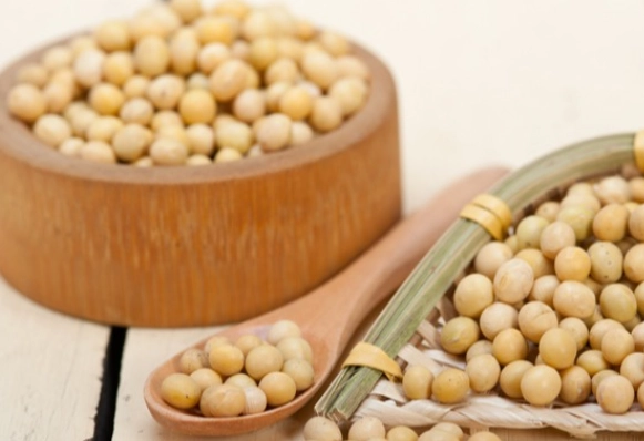 黑豆營養價值 黑豆營養價值