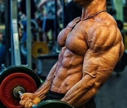 健身營養比例 健身營養比例