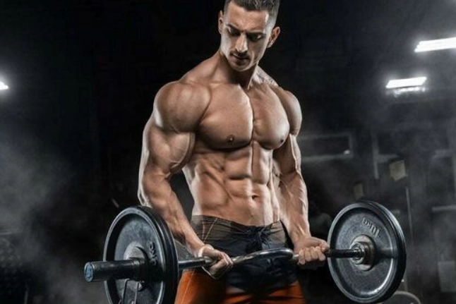 減脂飲食比例 減脂飲食比例