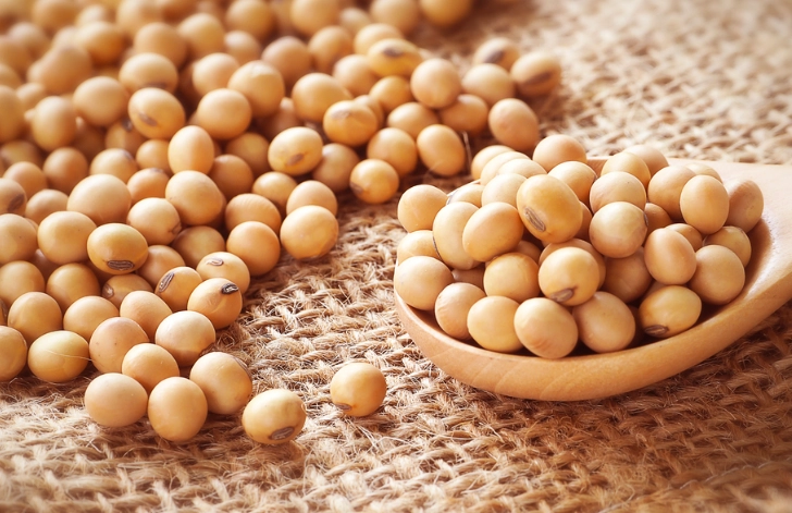 黃豆蛋白質好處 黃豆蛋白質好處