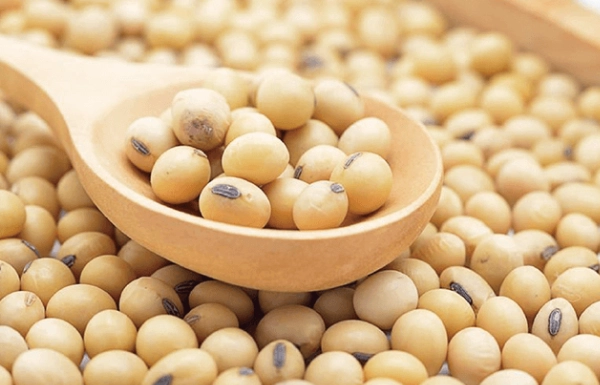 黃豆黑豆營養比較 黃豆黑豆營養比較