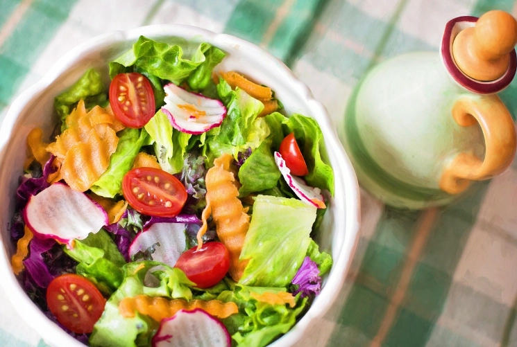 高蛋白飲食減肥