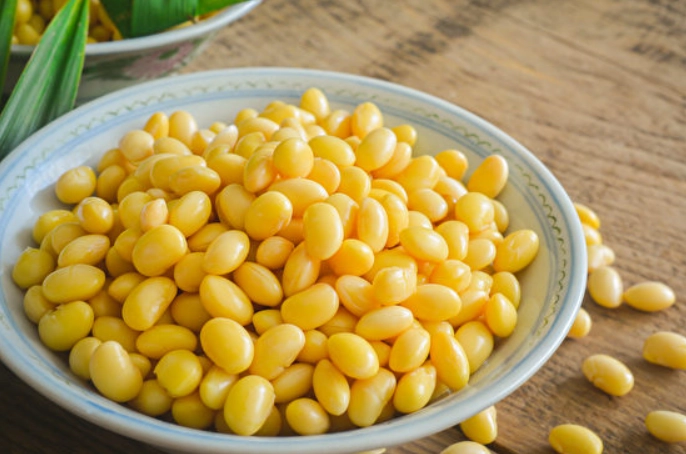 黑豆雌激素 黑豆雌激素