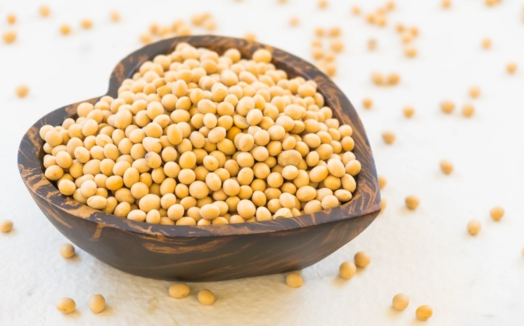 黃豆蛋白質好處 黃豆蛋白質好處