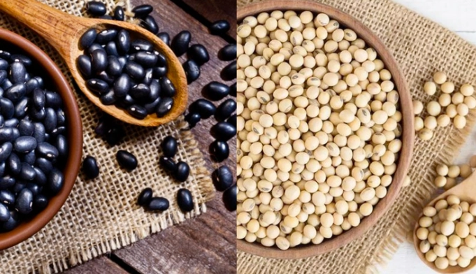 黑豆黃豆哪個好 黑豆黃豆哪個好