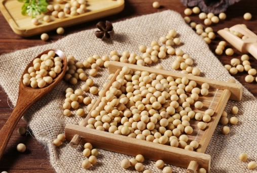 黃豆蛋白質好處 黃豆蛋白質好處