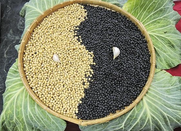 黃豆蛋白質好處 黃豆蛋白質好處