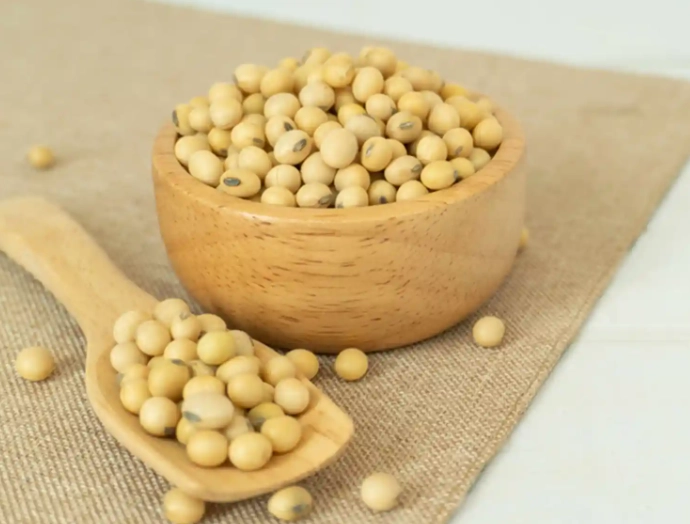 黃豆黑豆營養比較 黃豆黑豆營養比較