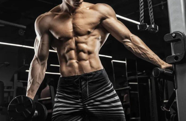 減脂蛋白質比例