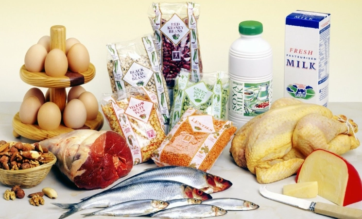 每日蛋白质需求计算