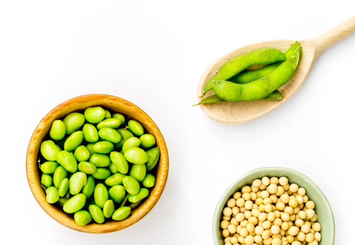 黑豆與黃豆差異 黑豆與黃豆差異