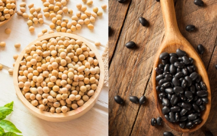 黑豆黃豆哪個好 黑豆黃豆哪個好