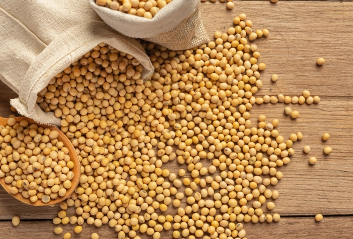 黑豆與黃豆差異 黑豆與黃豆差異