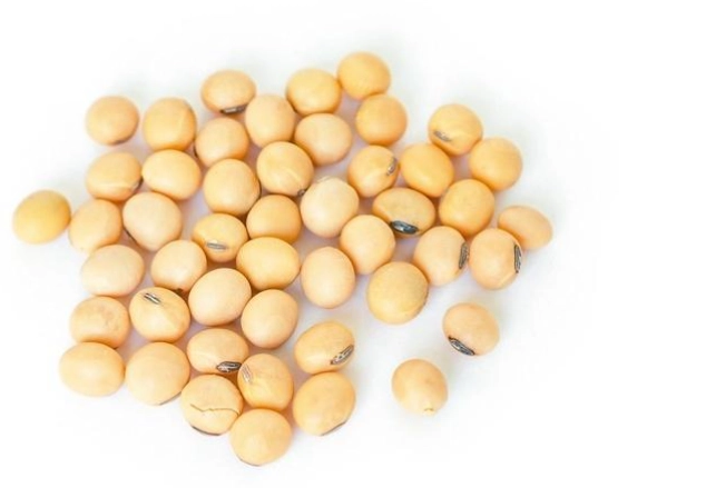 黃豆黑豆營養比較 黃豆黑豆營養比較