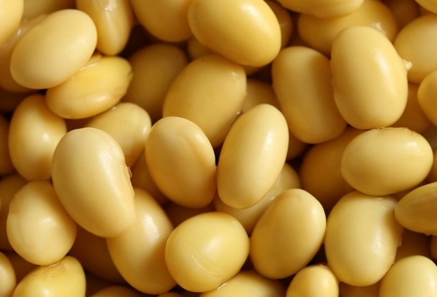 植物雌激素健康 植物雌激素健康